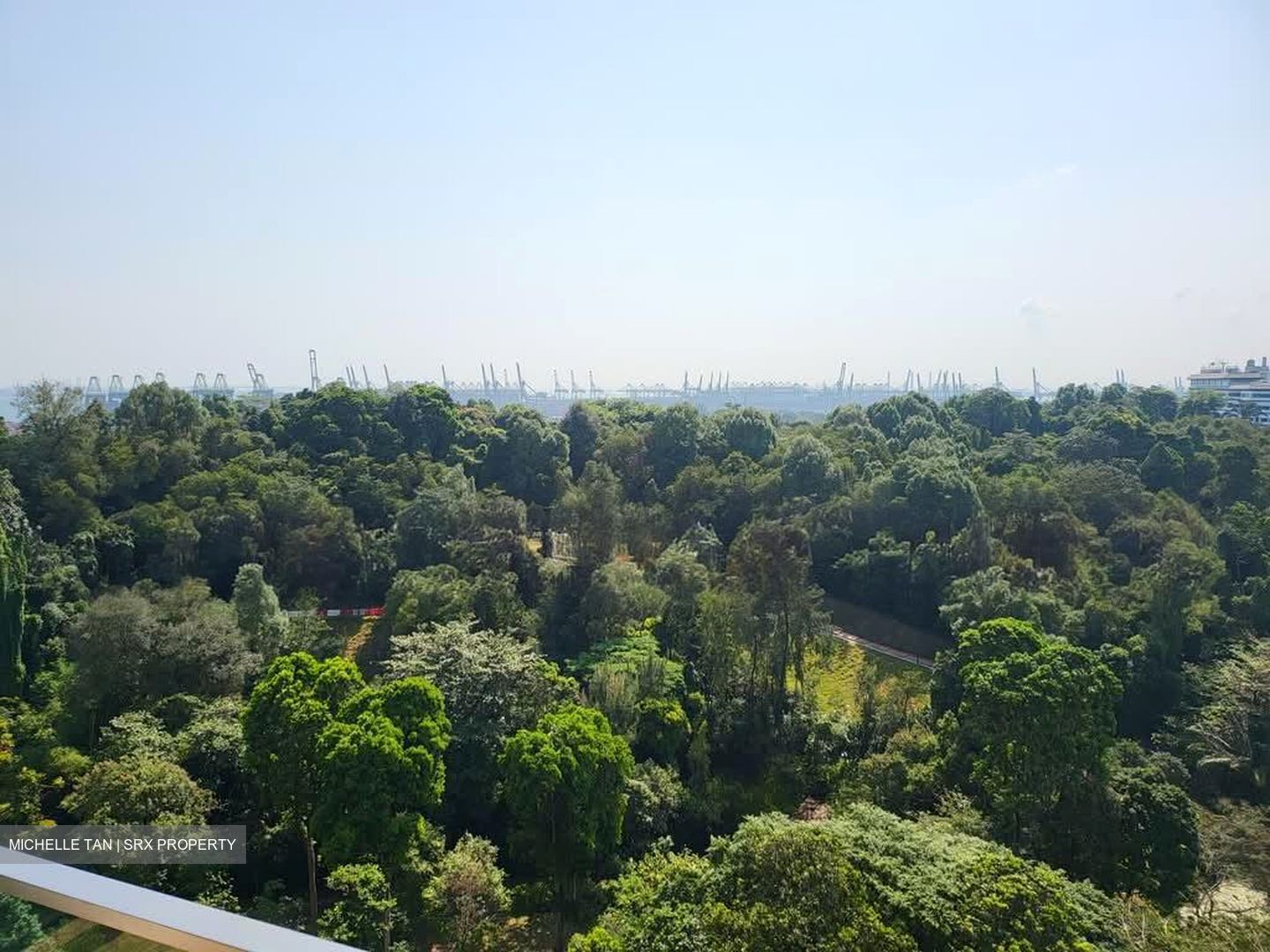 Normanton Park (D5), Apartment #572198041